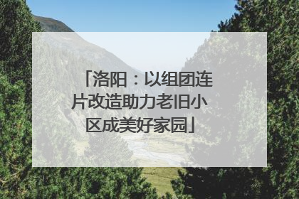 洛阳：以组团连片改造助力老旧小区成美好家园
