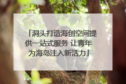 洞头打造海创空间提供一站式服务 让青年为海岛注入新活力