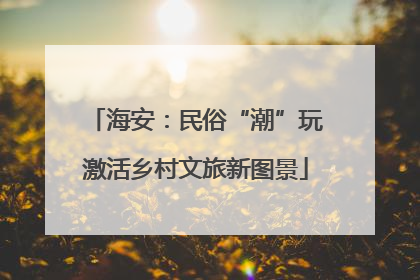 海安：民俗“潮”玩激活乡村文旅新图景