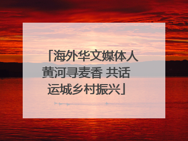 海外华文媒体人黄河寻麦香 共话运城乡村振兴