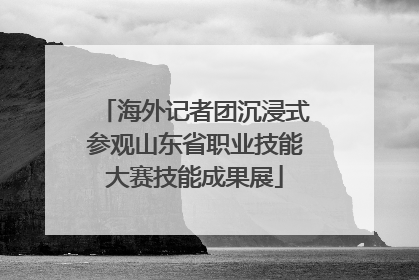 海外记者团沉浸式参观山东省职业技能大赛技能成果展
