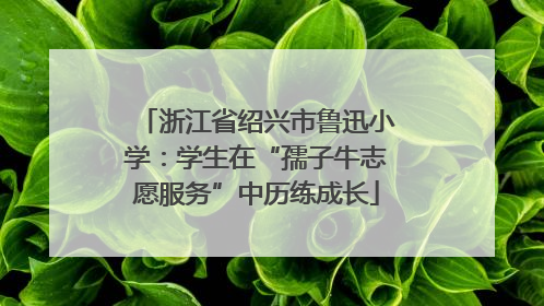 浙江省绍兴市鲁迅小学：学生在“孺子牛志愿服务”中历练成长