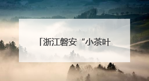 浙江磐安“小茶叶”成就“大产业”，全力打造50亿级茶叶全产业链