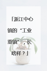 浙江中心镇的“工业重镇”，长啥样？