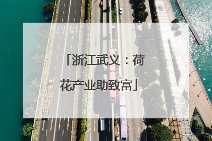 浙江武义：荷花产业助致富