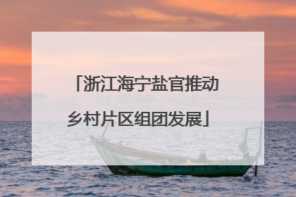 浙江海宁盐官推动乡村片区组团发展