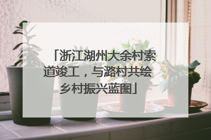 浙江湖州大余村索道竣工，与潞村共绘乡村振兴蓝图