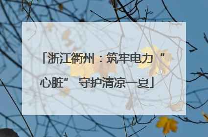 浙江衢州：筑牢电力“心脏” 守护清凉一夏