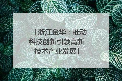 浙江金华：推动科技创新引领高新技术产业发展