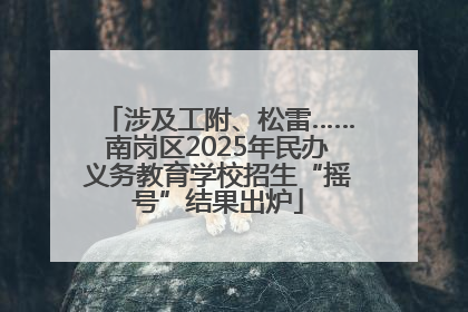 涉及工附、松雷……南岗区2025年民办义务教育学校招生“摇号”结果出炉