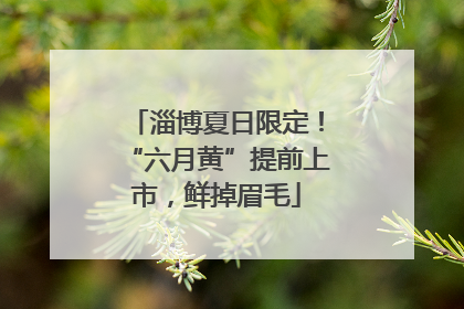 淄博夏日限定！“六月黄”提前上市，鲜掉眉毛