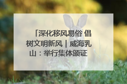 深化移风易俗 倡树文明新风｜威海乳山：举行集体颁证 倡导文明婚俗