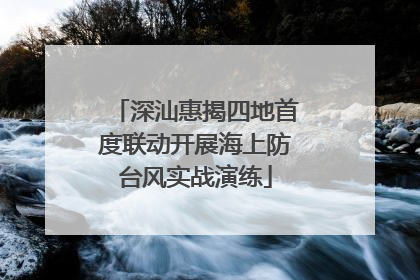 深汕惠揭四地首度联动开展海上防台风实战演练