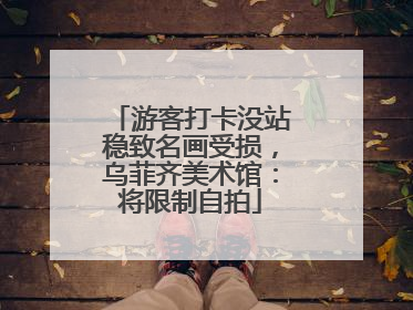 游客打卡没站稳致名画受损，乌菲齐美术馆：将限制自拍