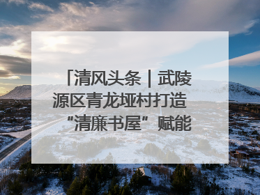 清风头条｜武陵源区青龙垭村打造“清廉书屋”赋能乡村振兴新风尚