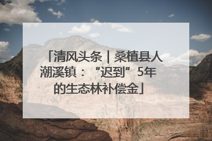清风头条｜桑植县人潮溪镇：“迟到”5年的生态林补偿金