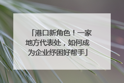 港口新角色！一家地方代表处，如何成为企业纾困好帮手