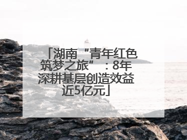 湖南“青年红色筑梦之旅”：8年深耕基层创造效益近5亿元