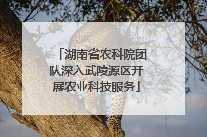 湖南省农科院团队深入武陵源区开展农业科技服务