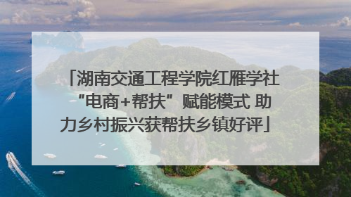 湖南交通工程学院红雁学社“电商+帮扶”赋能模式 助力乡村振兴获帮扶乡镇好评
