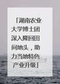湖南农业大学博士团深入隆回田间地头，助力当地特色产业升级