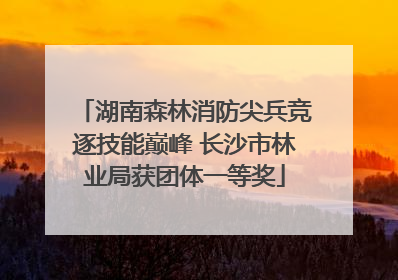 湖南森林消防尖兵竞逐技能巅峰 长沙市林业局获团体一等奖