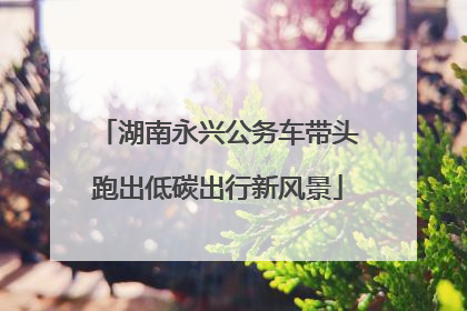 湖南永兴公务车带头跑出低碳出行新风景