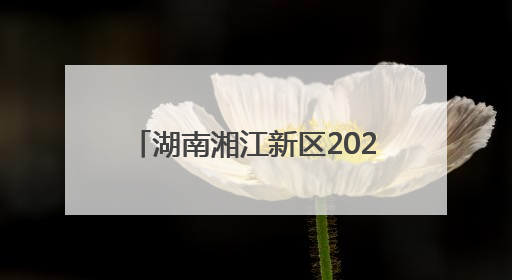 湖南湘江新区2025年科技活动周启动 科学巴士首次亮相