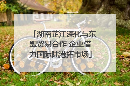 湖南芷江深化与东盟贸易合作 企业借力国际陆港拓市场