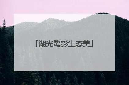 湖光鹭影生态美