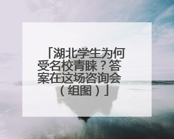 湖北学生为何受名校青睐？答案在这场咨询会（组图）
