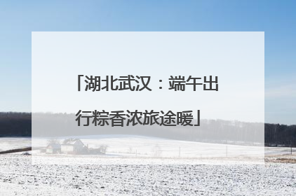 湖北武汉：端午出行粽香浓旅途暖