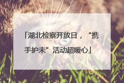 湖北检察开放日，“携手护未”活动超暖心
