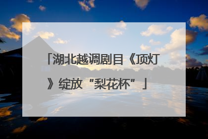 湖北越调剧目《顶灯》绽放“梨花杯”