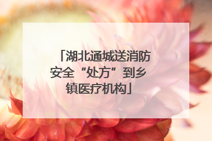 湖北通城送消防安全“处方”到乡镇医疗机构