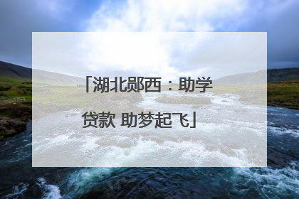 湖北郧西：助学贷款 助梦起飞