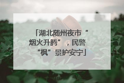 湖北随州夜市“烟火升腾”，民警“枫”景护安宁