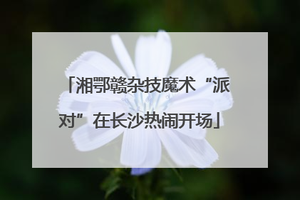 湘鄂赣杂技魔术“派对”在长沙热闹开场