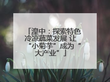 湟中：探索特色冷凉蔬菜发展 让“小菊芋”成为“大产业”