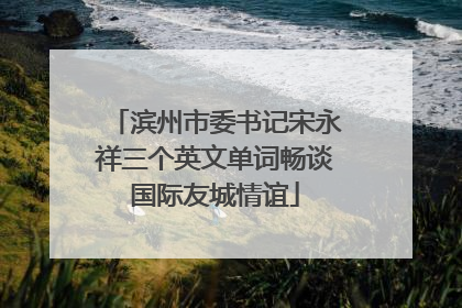 滨州市委书记宋永祥三个英文单词畅谈国际友城情谊
