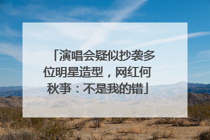 演唱会疑似抄袭多位明星造型，网红何秋亊：不是我的错