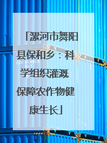 漯河市舞阳县保和乡：科学组织灌溉 保障农作物健康生长