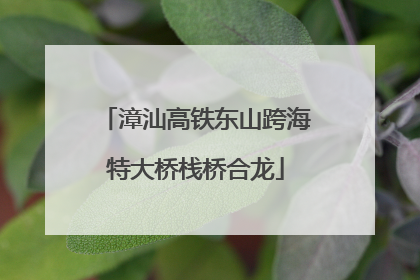 漳汕高铁东山跨海特大桥栈桥合龙