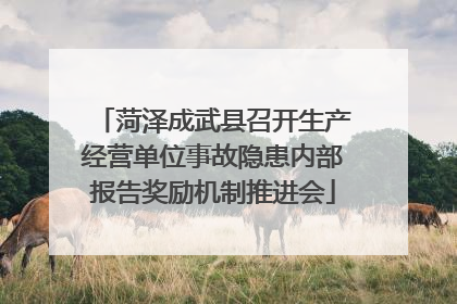 菏泽成武县召开生产经营单位事故隐患内部报告奖励机制推进会
