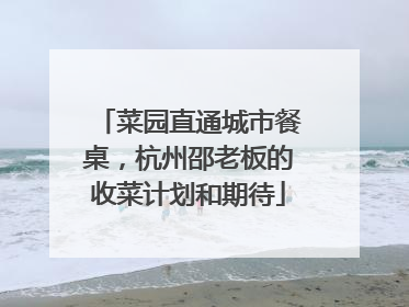菜园直通城市餐桌，杭州邵老板的收菜计划和期待