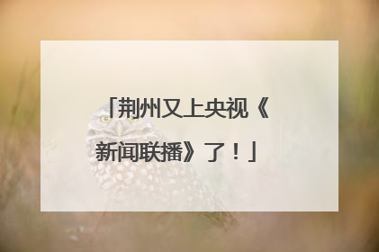 荆州又上央视《新闻联播》了！