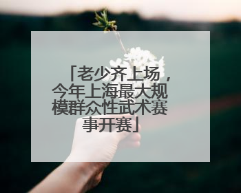 老少齐上场，今年上海最大规模群众性武术赛事开赛