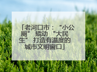 老河口市：“小公厕” 撬动 “大民生” 打造有温度的城市文明窗口