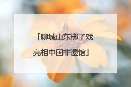 聊城山东梆子戏亮相中国非遗馆