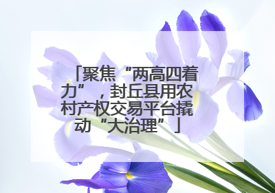 聚焦“两高四着力”，封丘县用农村产权交易平台撬动“大治理”